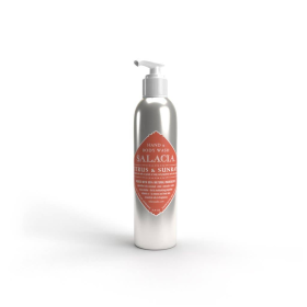 Hand and Body Wash (Flavor: Peach)
